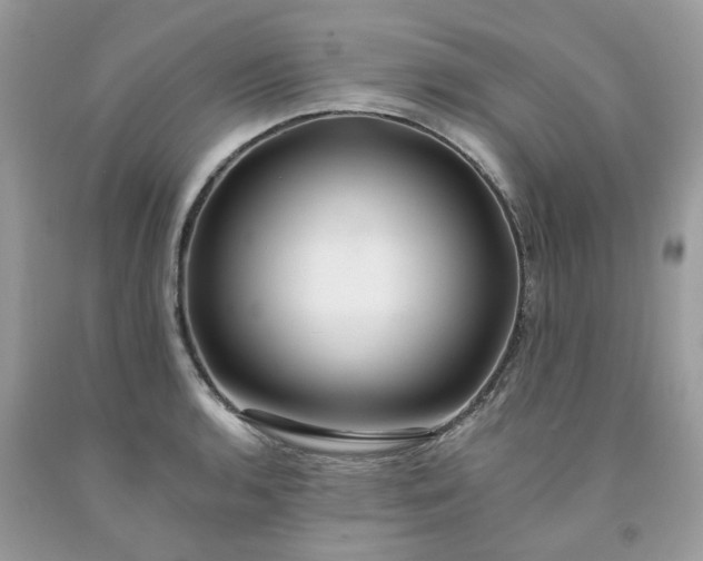 X0000091671136200709061037