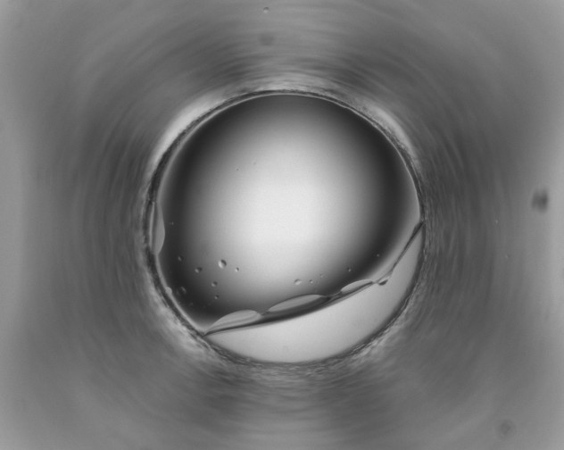 X0000091671138200709061037
