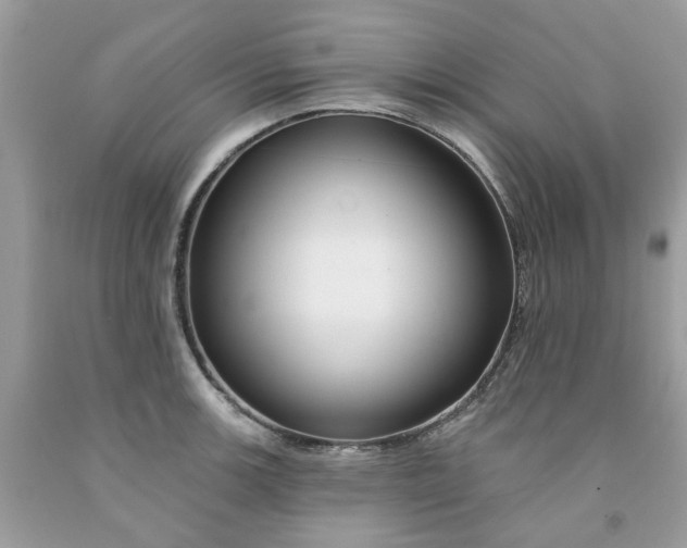 X0000091671139200709061037