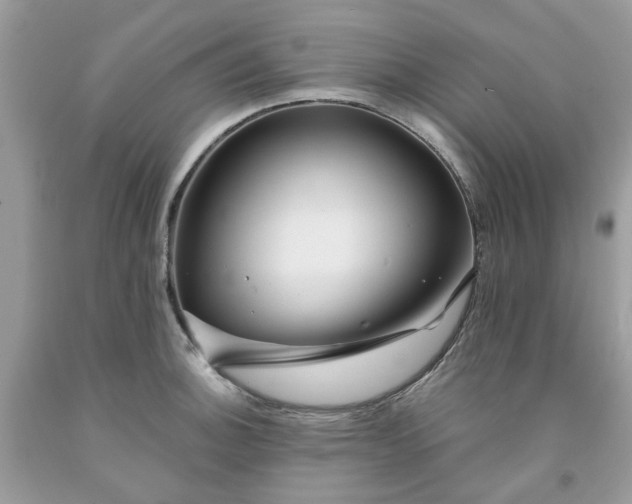 X0000091671140200709061037