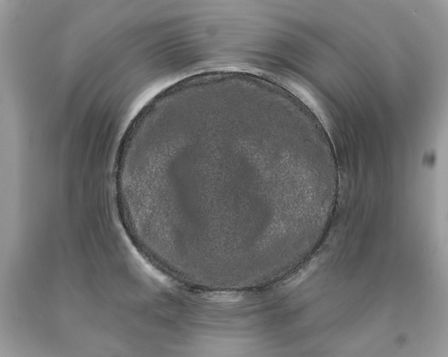 X0000091671141200709061037