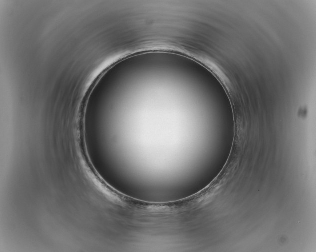 X0000091671142200709061037