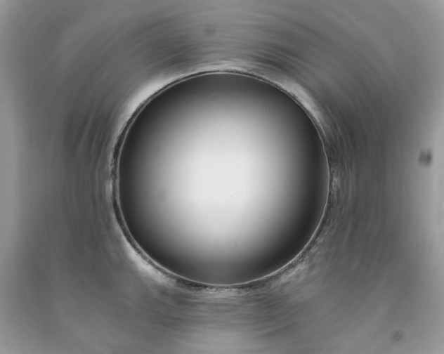 X0000091671143200709061037