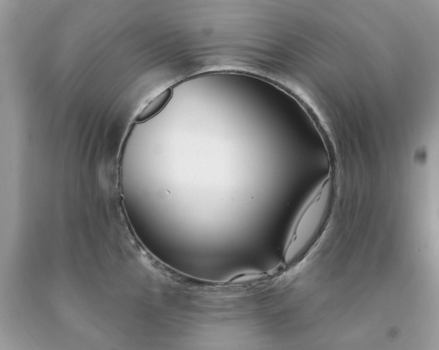 X0000091671145200709061037