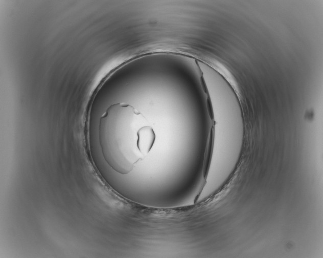 X0000091671146200709061037