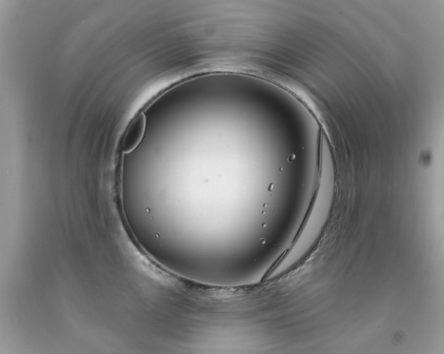 X0000091671147200709061037
