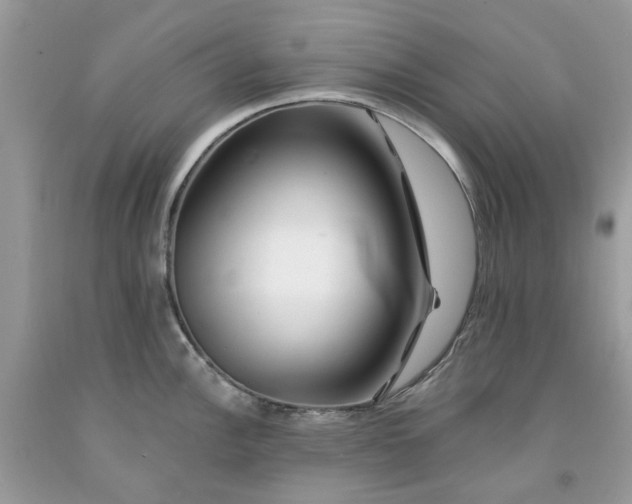 X0000091671148200709061037