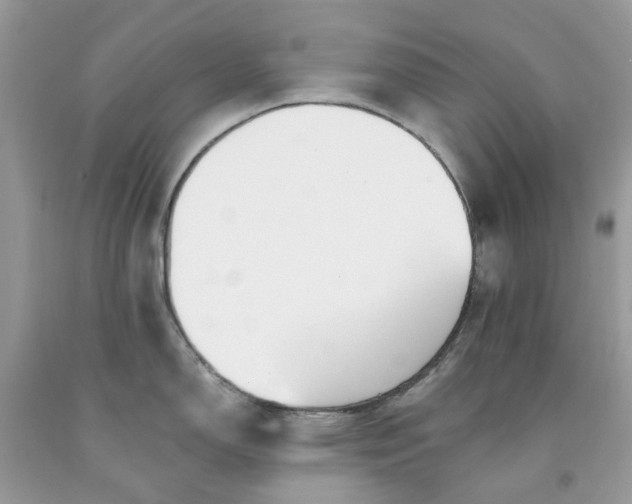 X0000091671150200709061037