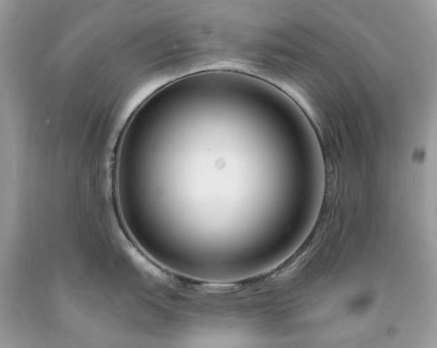 X0000091671151200709061037