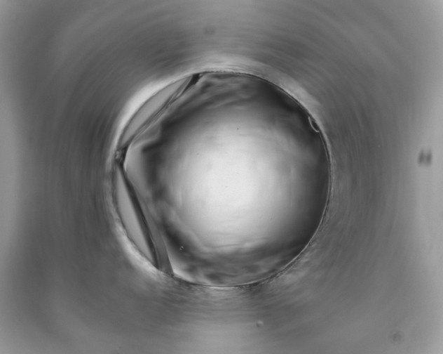 X0000091671152200709061037