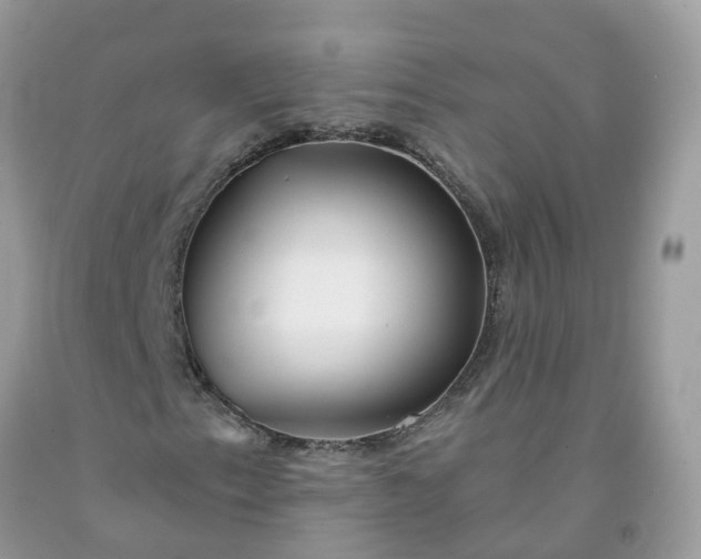 X0000091671153200709061036