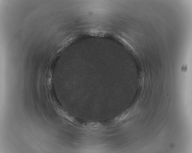 X0000091671154200709061036