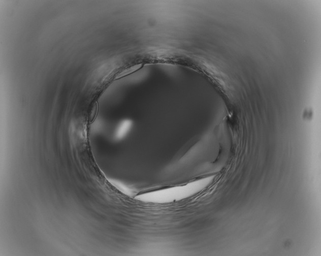 X0000091671155200709061036