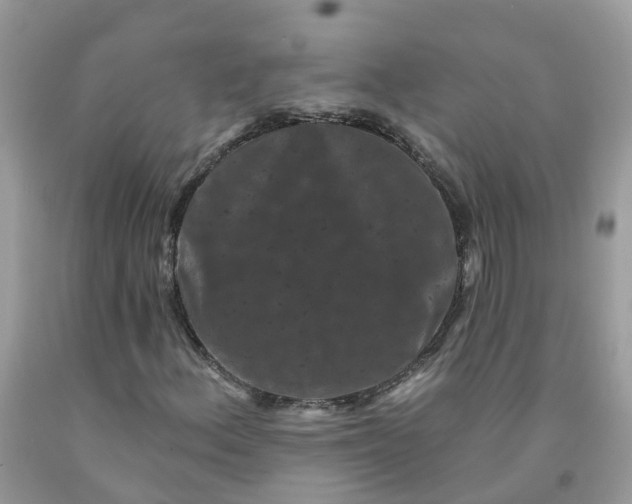 X0000091671156200709061036