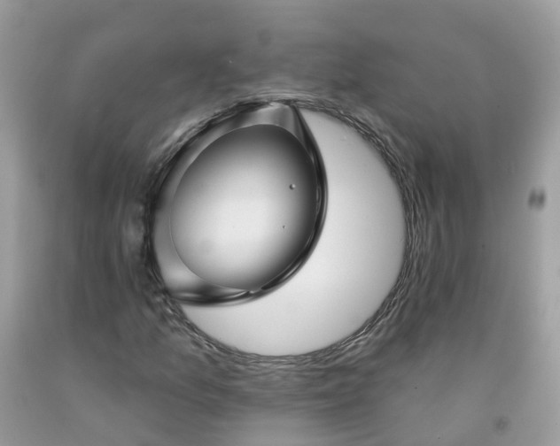 X0000091671157200709061036