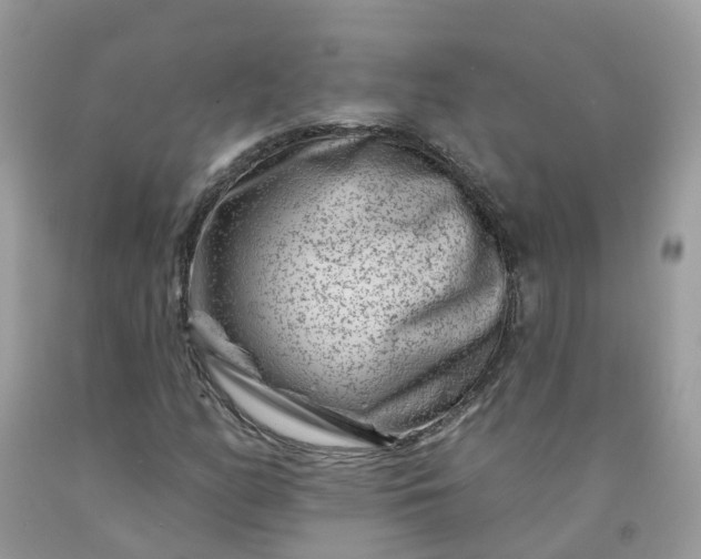 X0000091671158200709061036