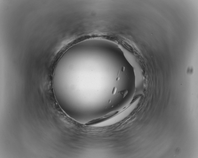 X0000091671160200709061036