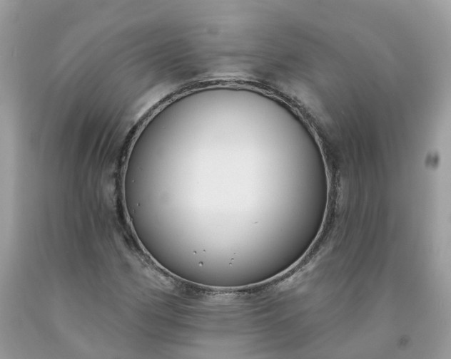 X0000091671162200709061036