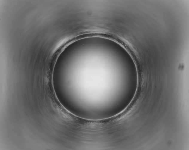X0000091671163200709061036