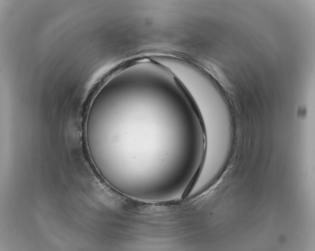 X0000091671164200709061036
