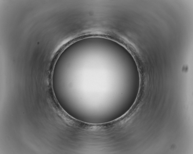 X0000091671166200709061036