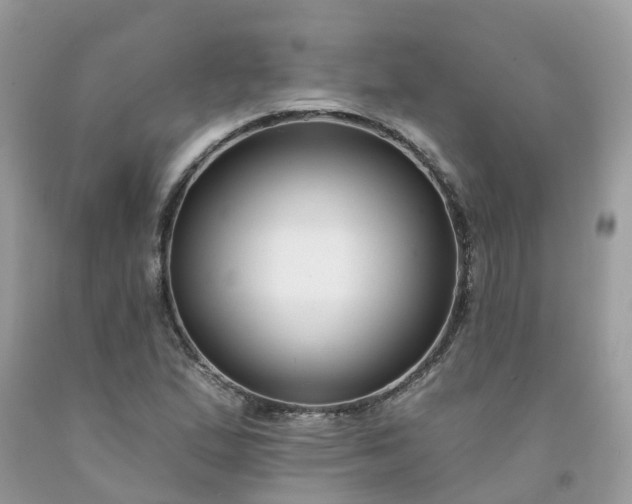 X0000091671167200709061036