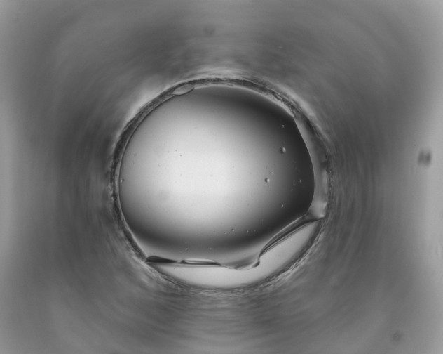 X0000091671168200709061036