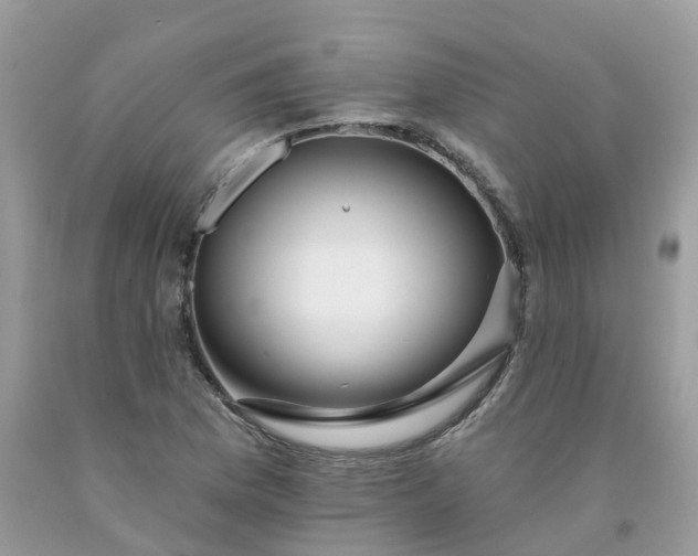 X0000091671169200709061036
