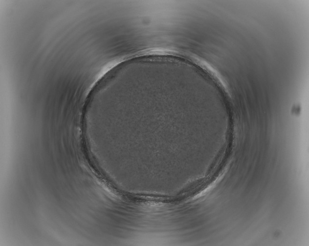 X0000091671170200709061036