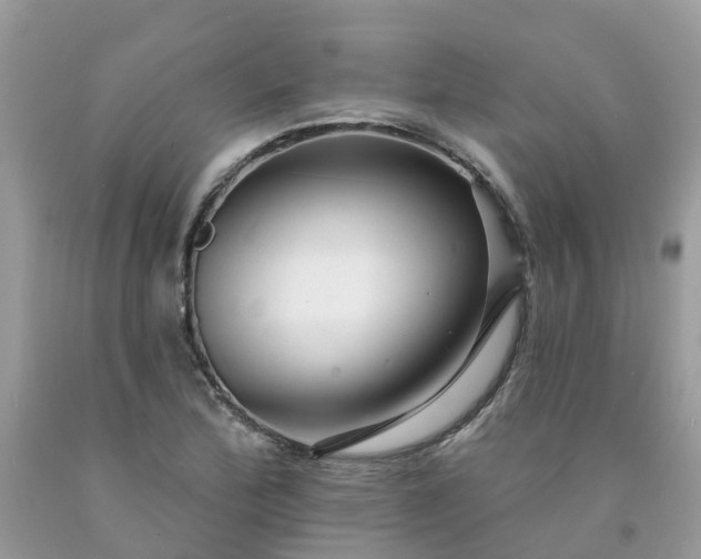X0000091671172200709061036