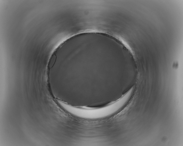 X0000091671173200709061036