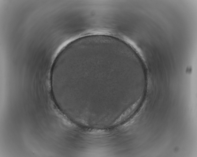 X0000091671174200709061036