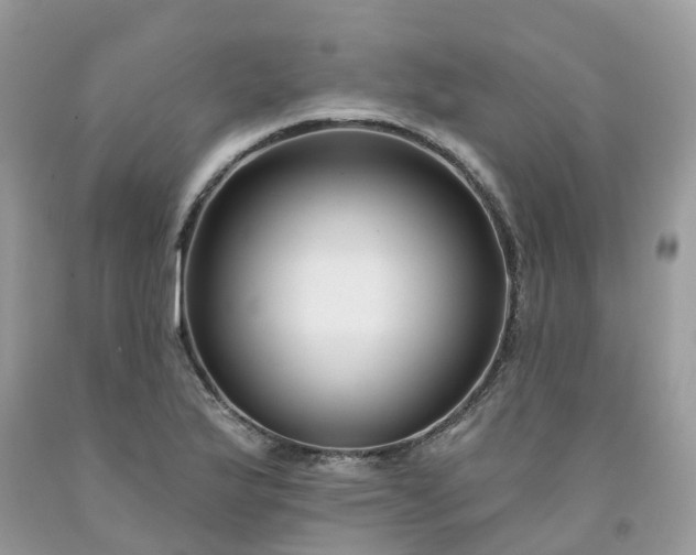 X0000091671175200709061036