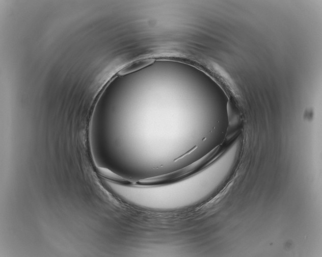 X0000091671177200709061036