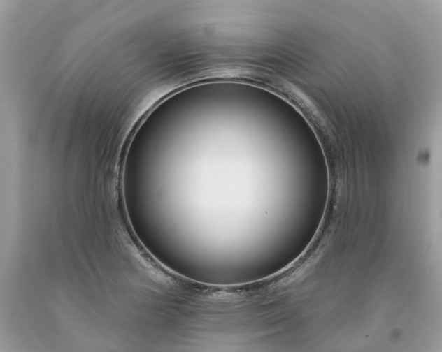 X0000091671178200709061036