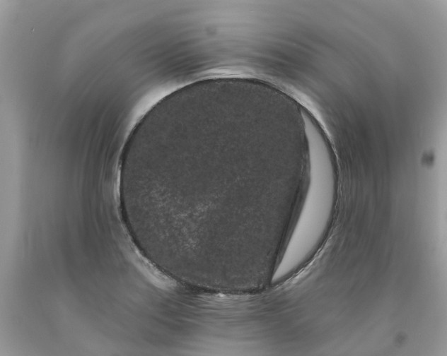 X0000091671179200709061036