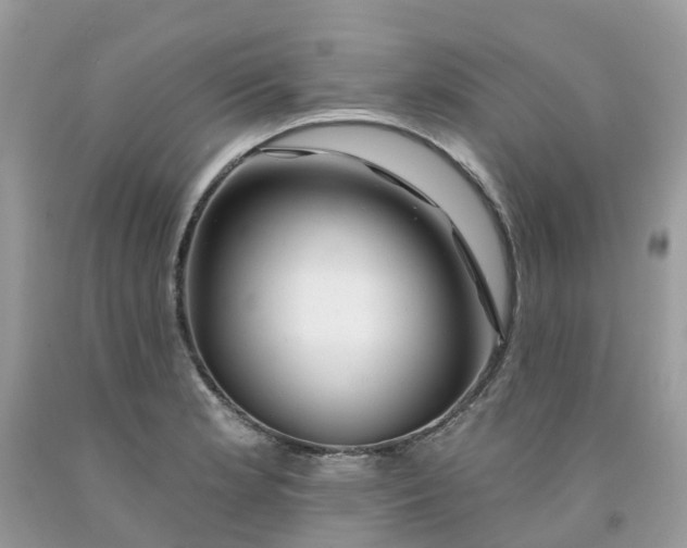 X0000091671181200709061036