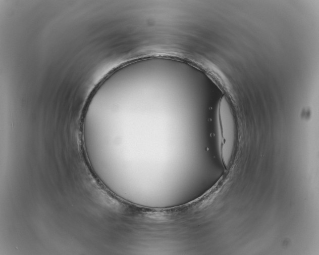 X0000091671182200709061036