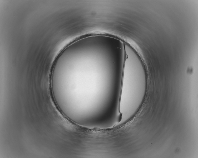 X0000091671183200709061036