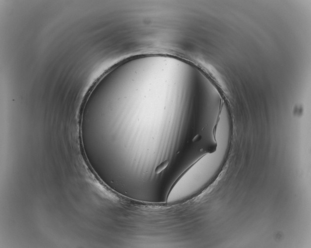 X0000091671184200709061036
