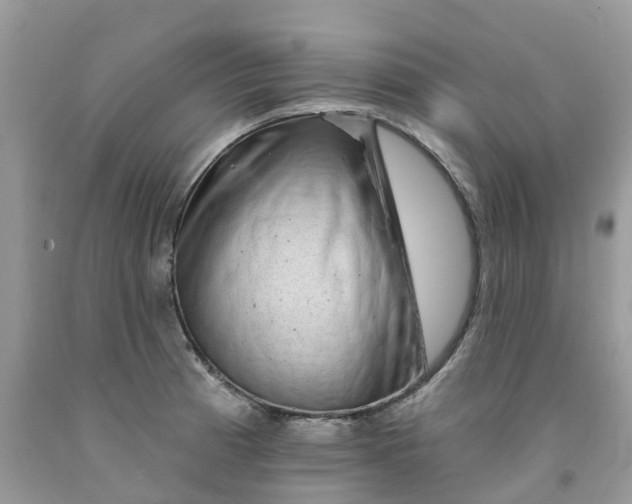 X0000091671185200709061036