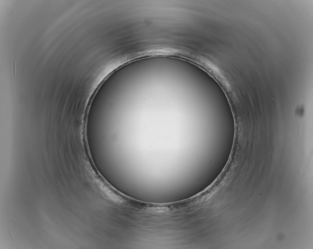 X0000091671186200709061036