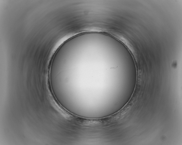 X0000091671187200709061036
