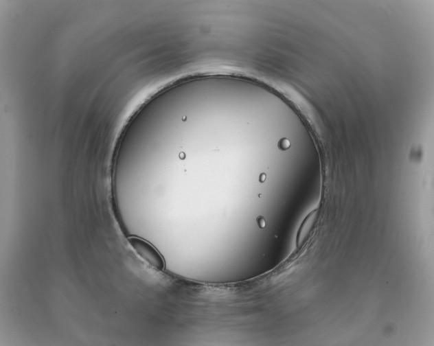 X0000091671191200709061036
