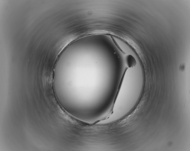 X0000091671193200709061036