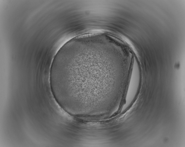 X0000091671194200709061036