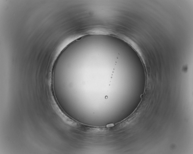 X0000091671195200709061036