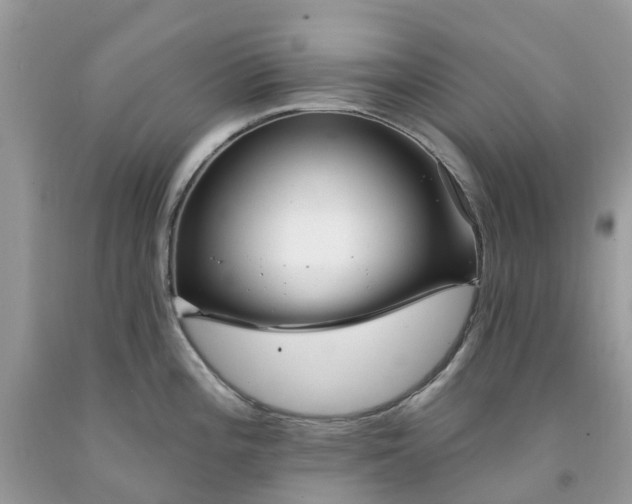 X0000091671196200709061036