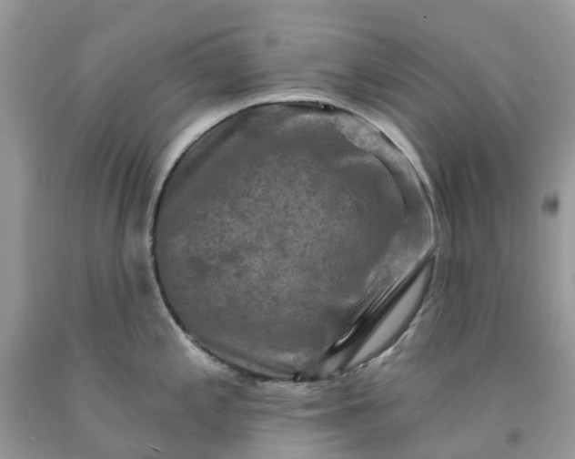 X0000091671197200709061036