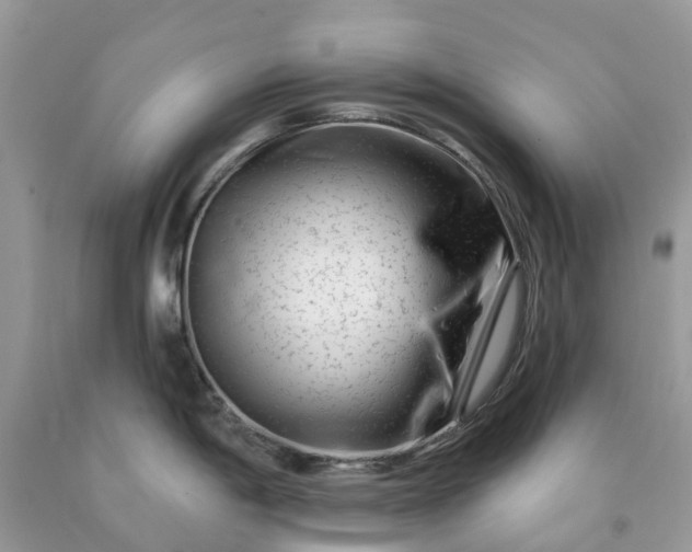 X0000091671198200709061036